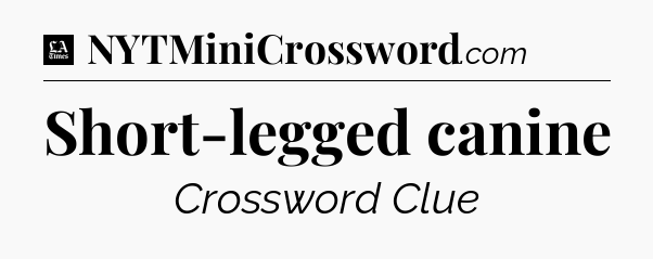 Short-legged canine - LA Times Crossword
