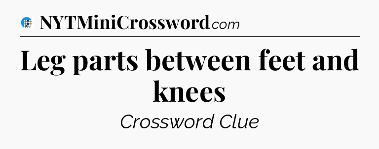 Leg parts between feet and knees Crossword Clue