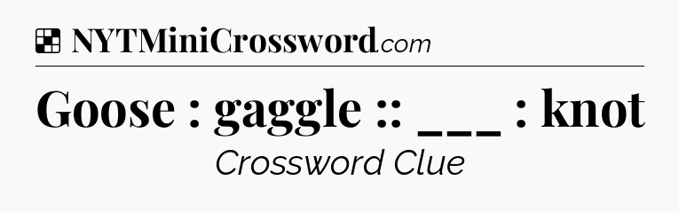 Solution: Goose : gaggle :: ___ : knot - NYT Crossword