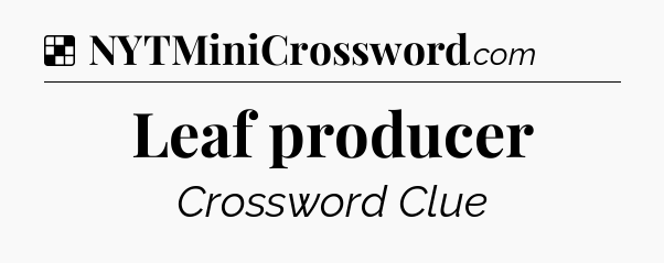 Solution: Leaf producer - NYT Crossword