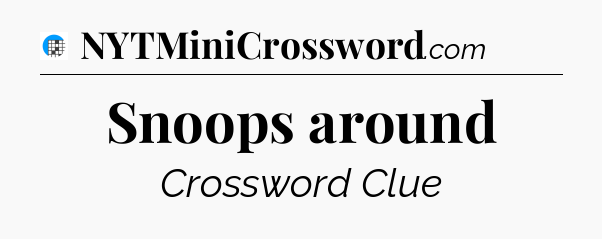 Snoops around Crossword Clue