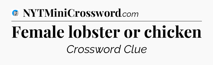 Female lobster or chicken Crossword Clue