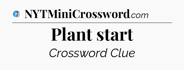 Plant start Crossword Clue