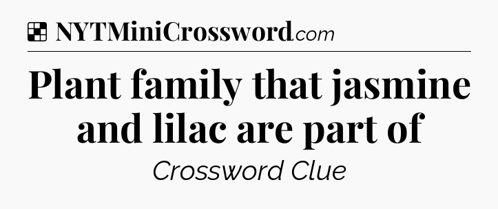 Solution: Plant family that jasmine and lilac are part of - NYT Crossword