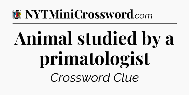 Animal studied by a primatologist Crossword Clue