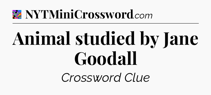 Animal studied by Jane Goodall Crossword Clue