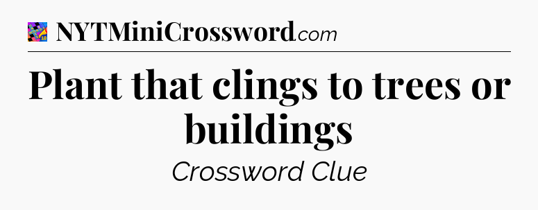 Plant that clings to trees or buildings Crossword Clue
