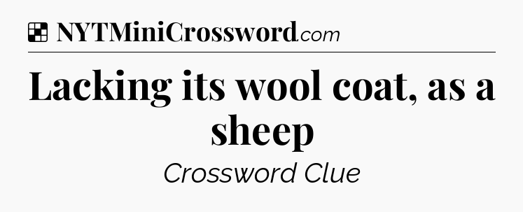 Solution: Lacking its wool coat, as a sheep - NYT Crossword