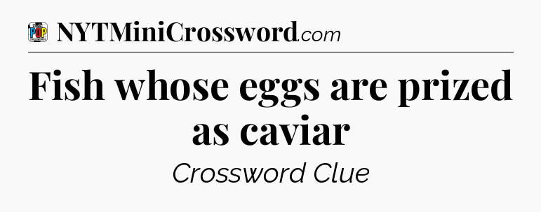 Fish whose eggs are prized as caviar Crossword Clue