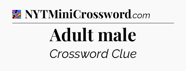 Adult male Crossword Clue