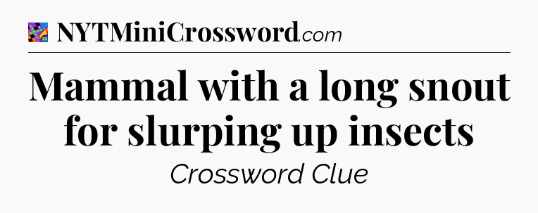 Mammal with a long snout for slurping up insects Crossword Clue