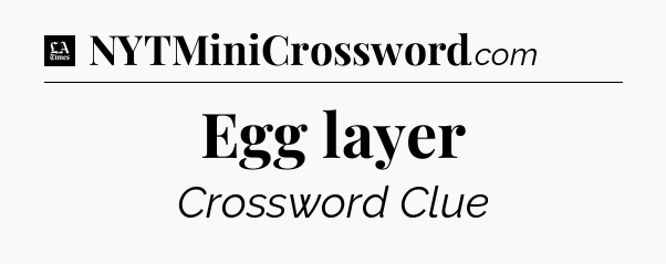 Egg layer - LA Times Crossword