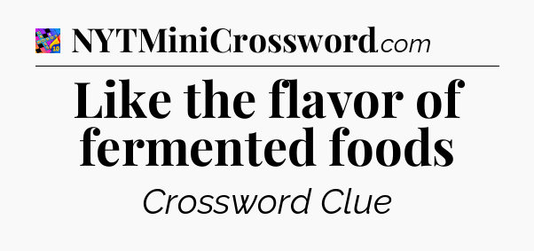 Like the flavor of fermented foods Crossword Clue