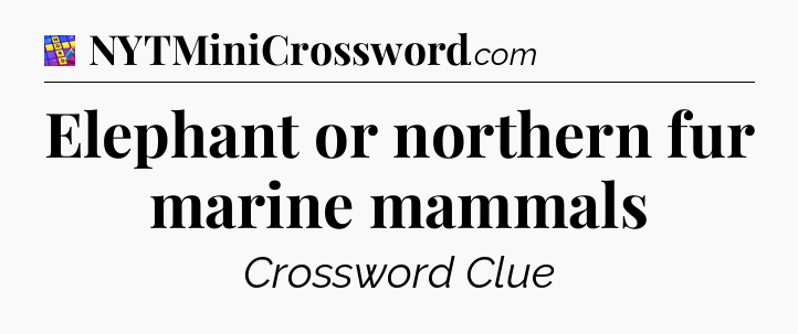 Elephant or northern fur marine mammals Codycross
