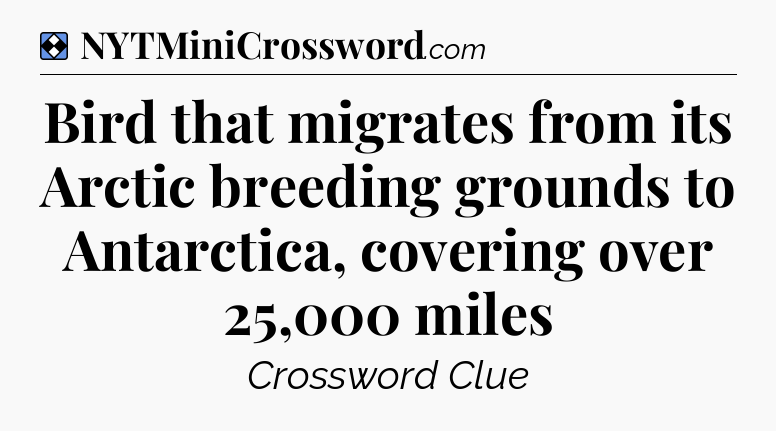 Solution: Bird that migrates from its Arctic breeding grounds to Antarctica, covering over 25,000 miles - NYT Mini Crossword