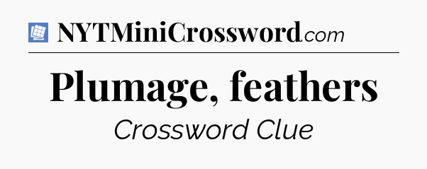 Plumage, feathers Puzzle Page Crossword Clue