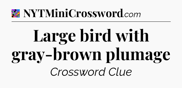Large bird with gray-brown plumage Crossword Clue