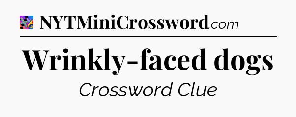 Wrinkly-faced dogs Crossword Clue