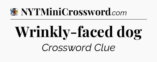 Wrinkly-faced dog Crossword Clue