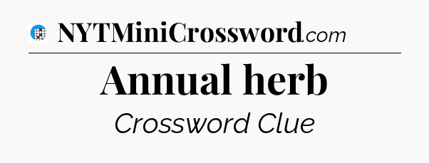 Annual herb Crossword Clue
