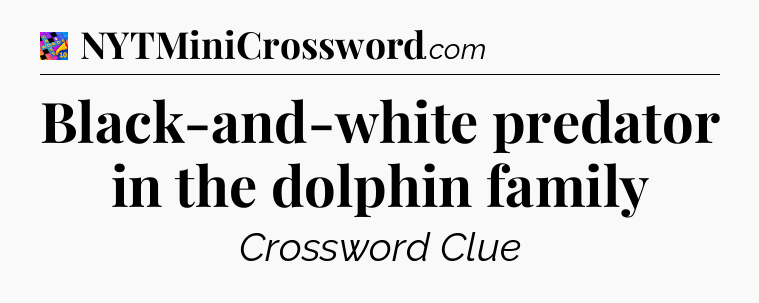 Black-and-white predator in the dolphin family Crossword Clue