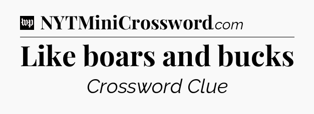 Like boars and bucks Crossword Clue