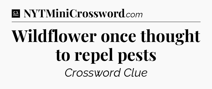 Wildflower once thought to repel pests - LA Times Crossword