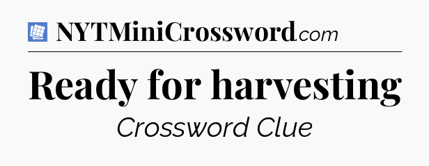 Ready for harvesting Puzzle Page Crossword Clue