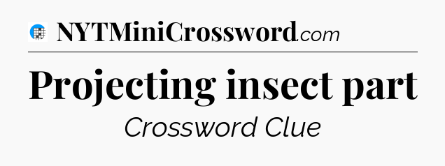 Projecting insect part Crossword Clue