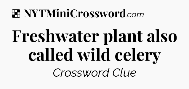 Solution: Freshwater plant also called wild celery - NYT Crossword