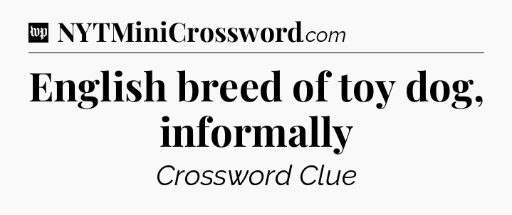 English breed of toy dog, informally Crossword Clue