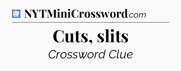 Cuts, slits Puzzle Page Crossword Clue