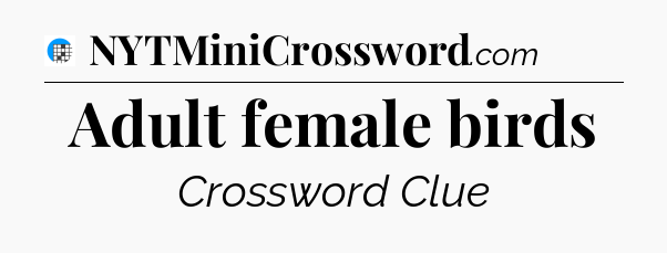Adult female birds Crossword Clue