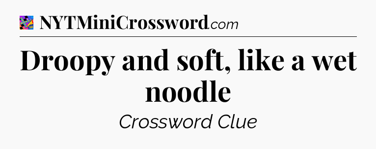 Droopy and soft, like a wet noodle Crossword Clue
