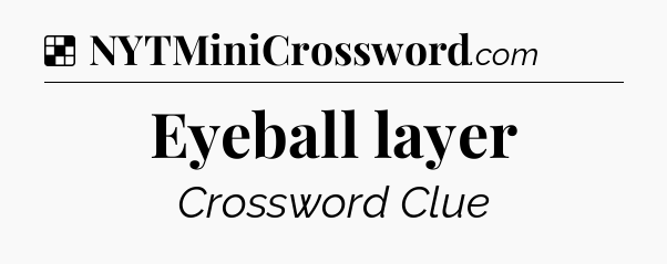 Solution: Eyeball layer - NYT Crossword