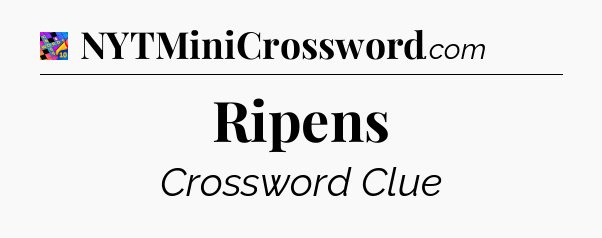 Ripens Crossword Clue