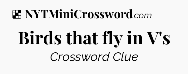 Solution: Birds that fly in V's - NYT Crossword
