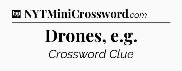 Drones, e.g Crossword Clue