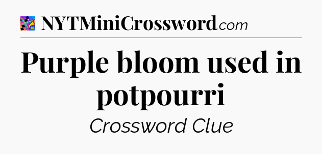 Purple bloom used in potpourri Crossword Clue