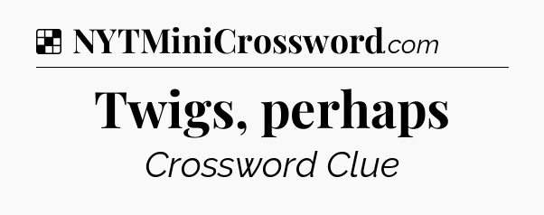 Solution: Twigs, perhaps - NYT Crossword