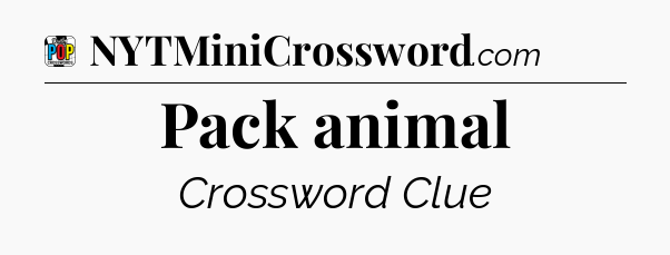 Pack animal Crossword Clue