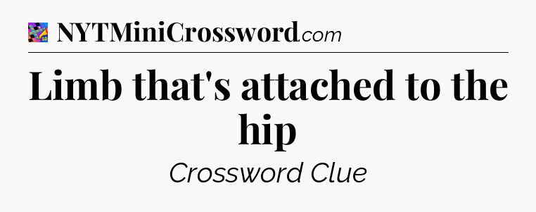 Limb that's attached to the hip Crossword Clue