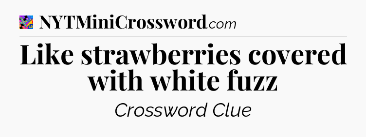 Like strawberries covered with white fuzz Crossword Clue
