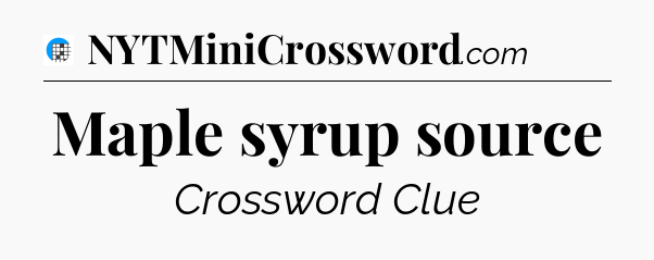 Maple syrup source Crossword Clue