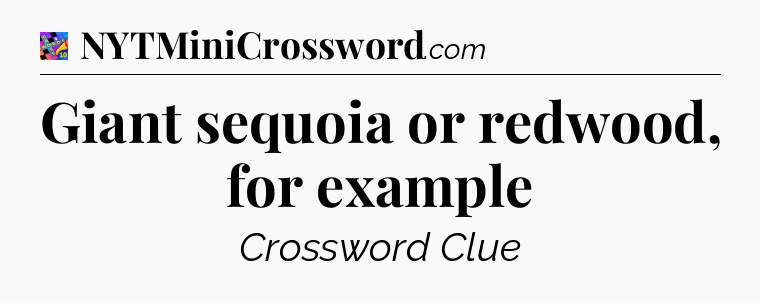 Giant sequoia or redwood, for example Crossword Clue