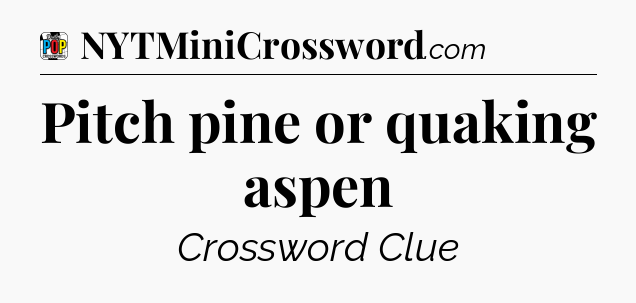 Pitch pine or quaking aspen Crossword Clue