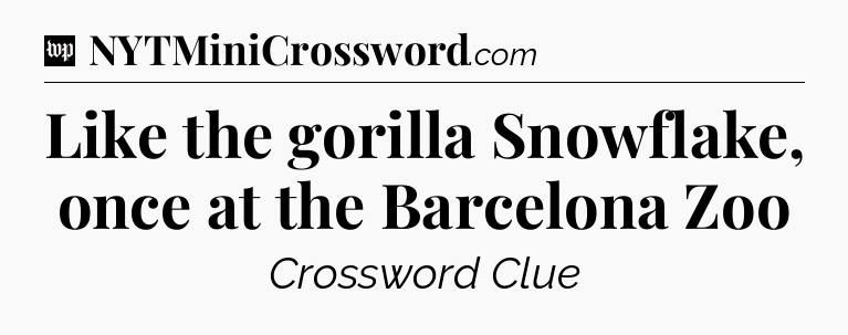 Like the gorilla Snowflake, once at the Barcelona Zoo Crossword Clue