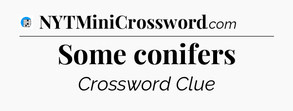 Some conifers Crossword Clue