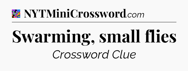 Swarming, small flies Crossword Clue