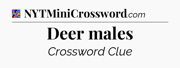 Deer males Crossword Clue